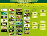 Систематика животных