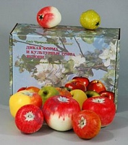 Набор муляжей "Дикая форма и культурные сорта яблони"