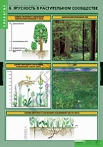 Растения и окружающая среда (7  табл.)